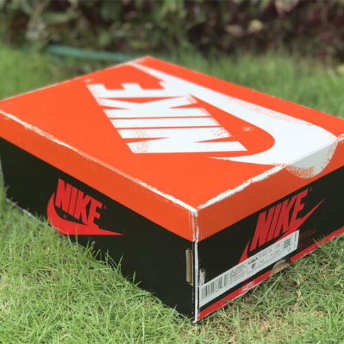 Air Jordan 1 High OG Lost and Found - 6